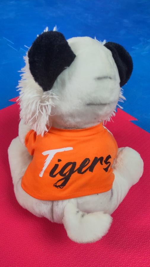 tigers tigers